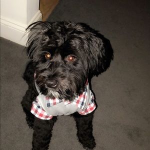 Meet your Posher, Richard